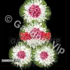 تاج گل ترحیم سه طبقه کد 951
