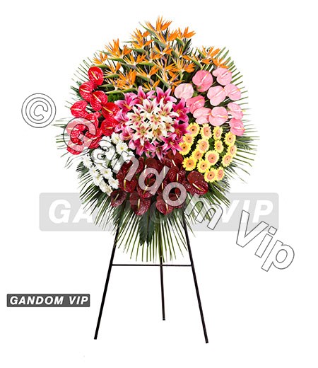 تاج گل تاج گل