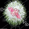 تاج گل ترحیم یک طبقه کد 927