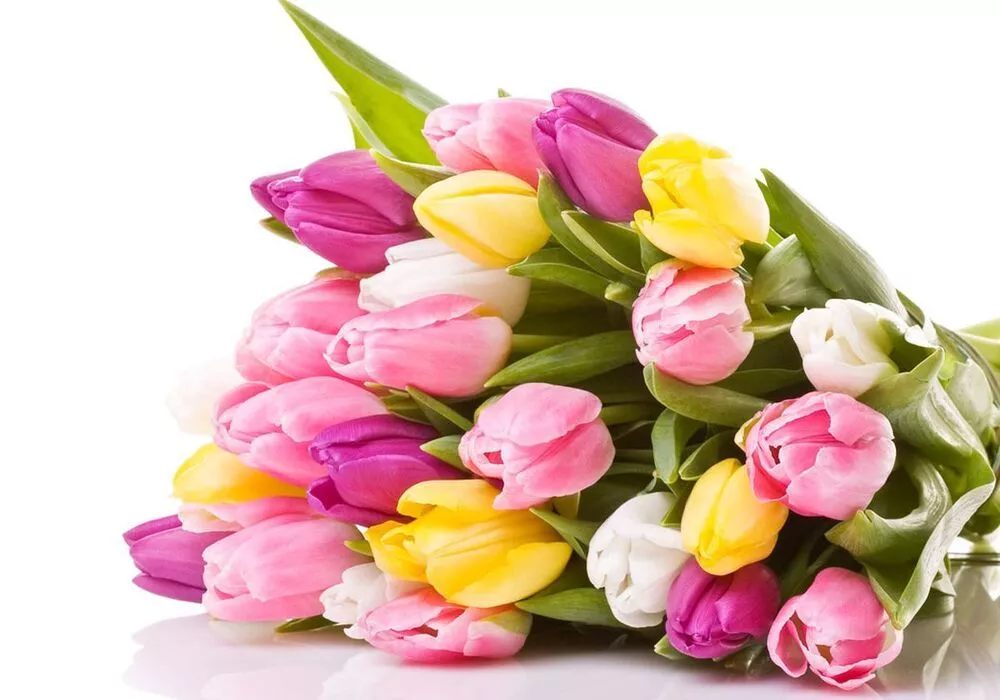 خرید دسته گل اینترنتی