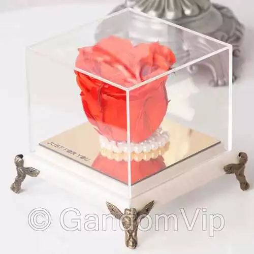 گل رز جاودان نارنجی