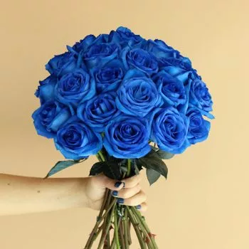 گل رز آبی