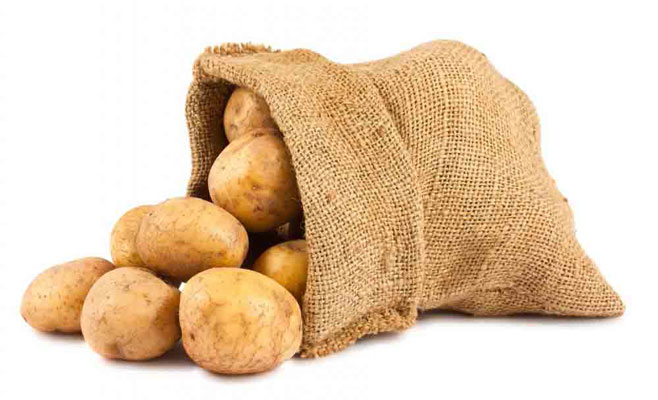 روش کاشت گل رز با سیب زمینی