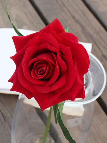 گل رز پیوندی