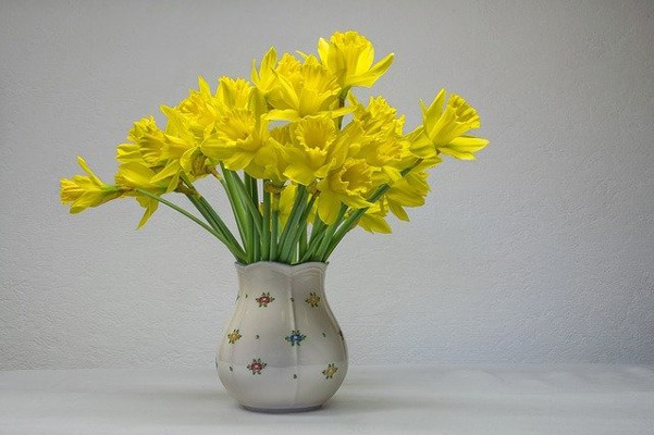 گل CROCUS
