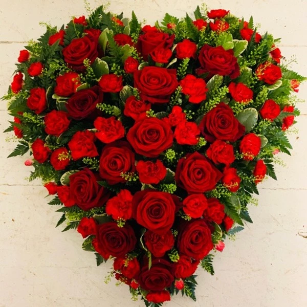نگهداری از گل رز
