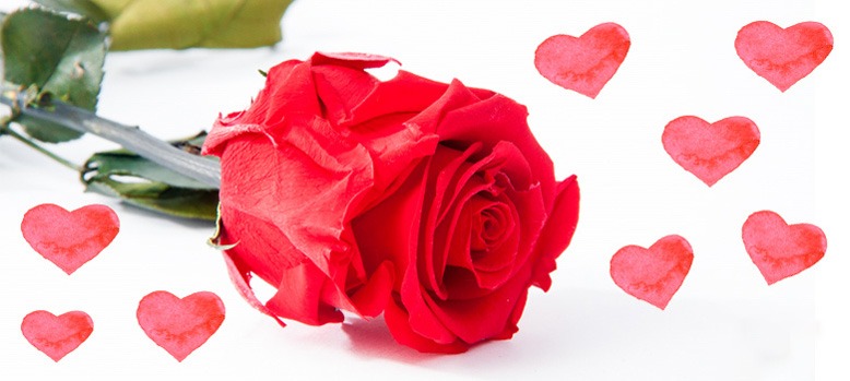 ایده هایی برای گل در روز ولنتاین