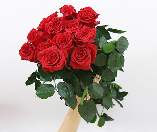 معنای گل رز