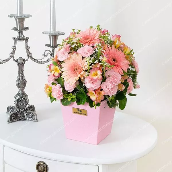 باکس گل فریزیا