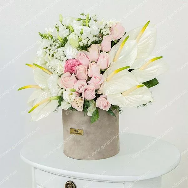 باکس گل خواستگاری