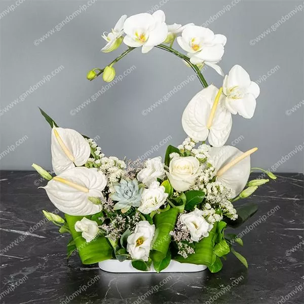 باکس گل
