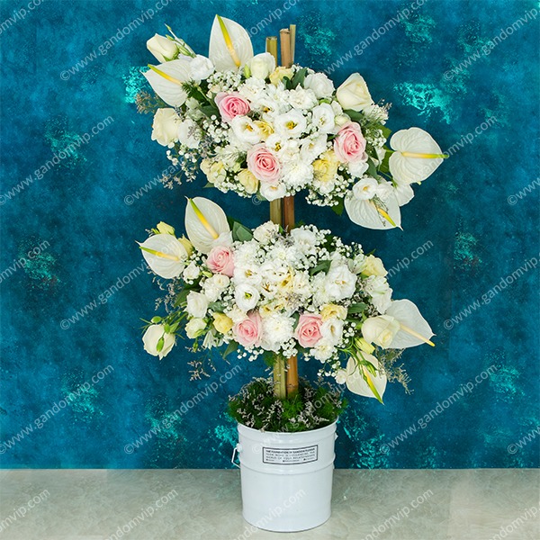 باکس ابری آنتوریوم و رز هلندی باکس ابری آنتوریوم و رز هلندی
