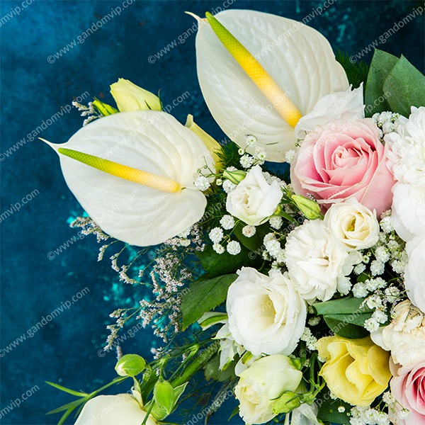 باکس ابری آنتوریوم و رز هلندی باکس ابری آنتوریوم و رز هلندی