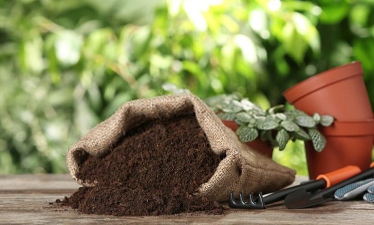 کود انتشار آهسته برای تقویت گیاه