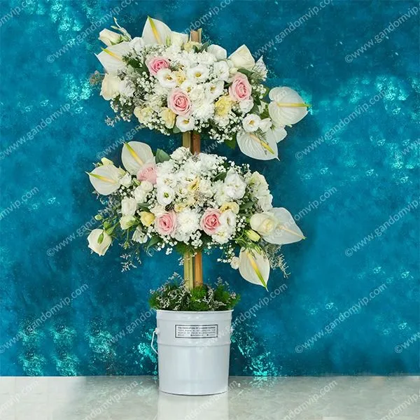 باکس ابری آنتوریوم و رز هلندی