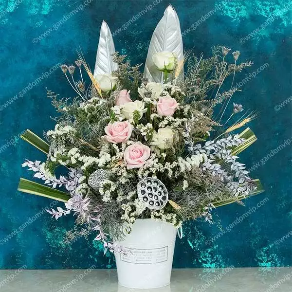 باکس رز هلندی صورتی