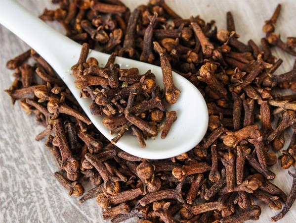 پرورش میخک در خانه