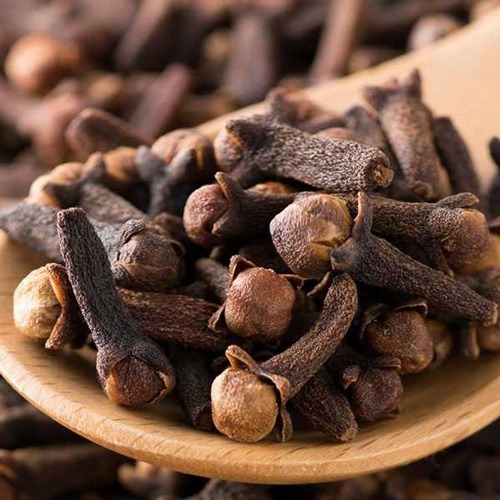 پرورش میخک در خانه و خواص آن
