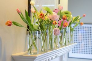 گیاه آپارتمانی با برگ های رنگی