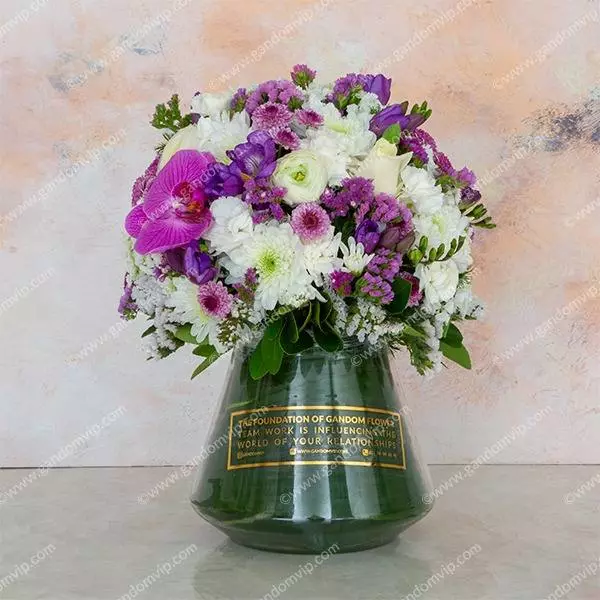 خرید گل آپارتمانی