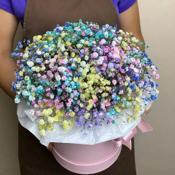 گل ژیپسوفیلا (Gypsophila) یا گل عروس نگهداری و پرورش