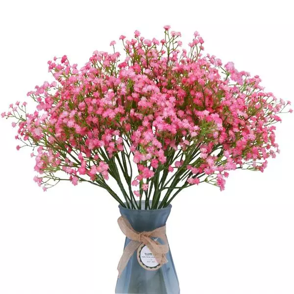 گل ژیپسوفیلا (Gypsophila) یا گل عروس صورتی