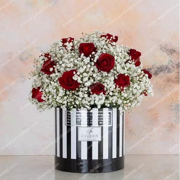 خرید گل آپارتمانی