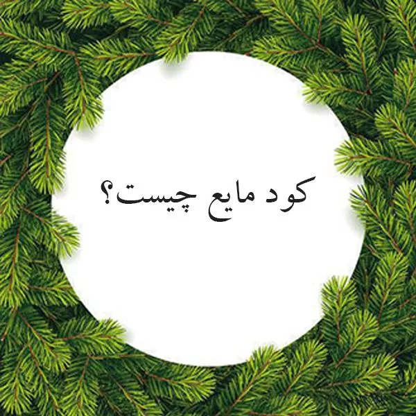 کود مایع چیست؟ استفاده از کود مایع