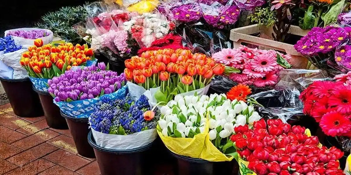 بازار گل تهران