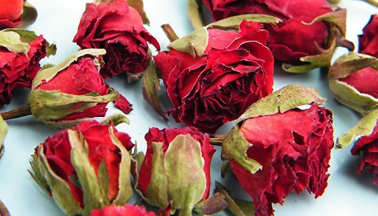 رز خشک شده