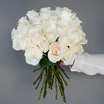 معنی گل رز عاجی
