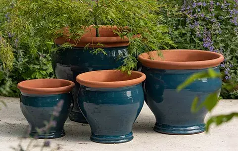 گلدان مناسب برای باغبانی کانتینری گل رز