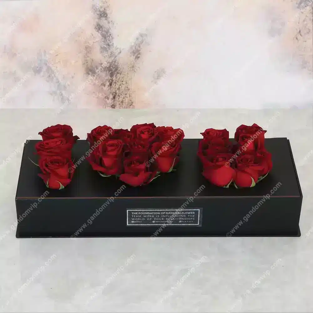 باکس گل کد 569 باکس گل کد 569