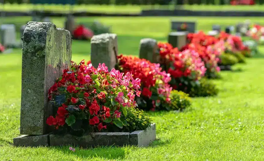 گل مناسب برای سر مزار