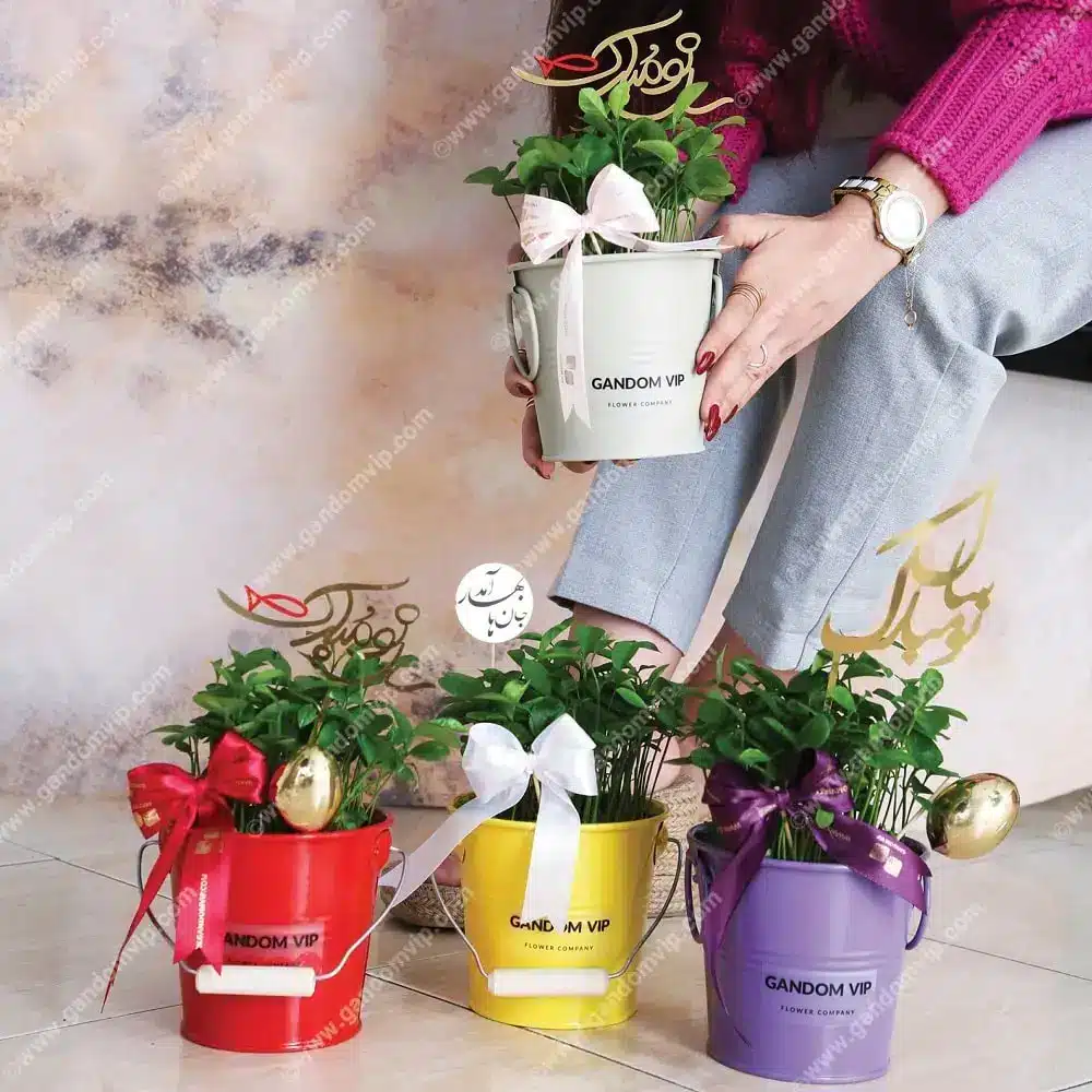 باکس گل کد 595