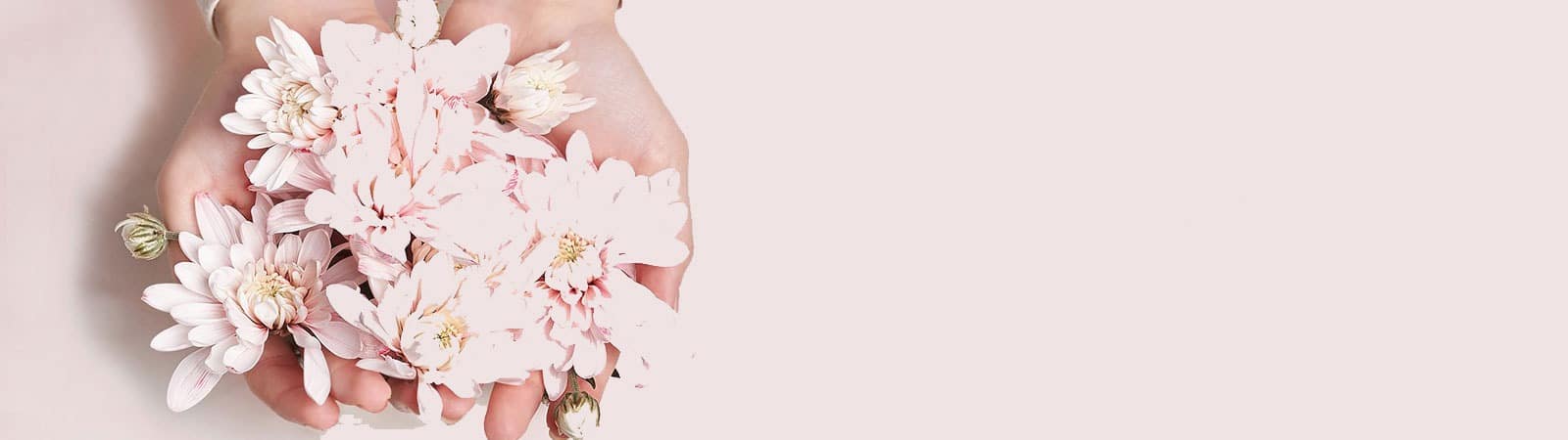 تماس با گندم وی ای پی