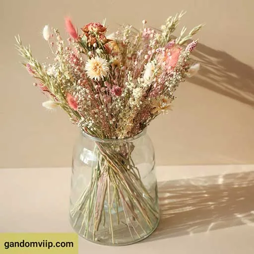 عکس جام گل با گل های خشک شده